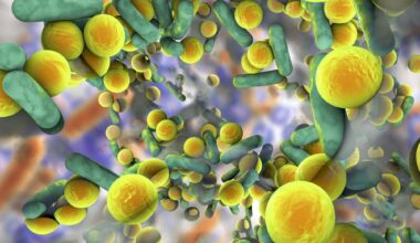 Antibiotic Resistance vs. Antibiotic Tolerance: What is the Difference?