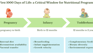Key maternal, infant, and environmental factors influencing nutritional programming during pregnancy, infancy and toddlerhood.