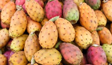 Review: The Prickly Solution to Metabolic Syndrome: A Multitarget View on the Opuntia ficus-indica Fruit Phytocomplex. Image Credit: anna.q / Shutterstock