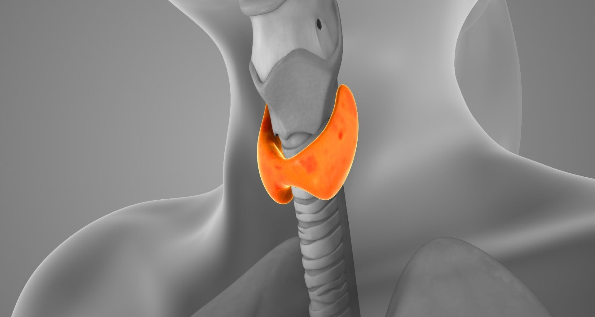 Review: The role of nutrition on thyroid health and disease: myths and facts. Image Credit: JitendraJadhav / Shutterstock