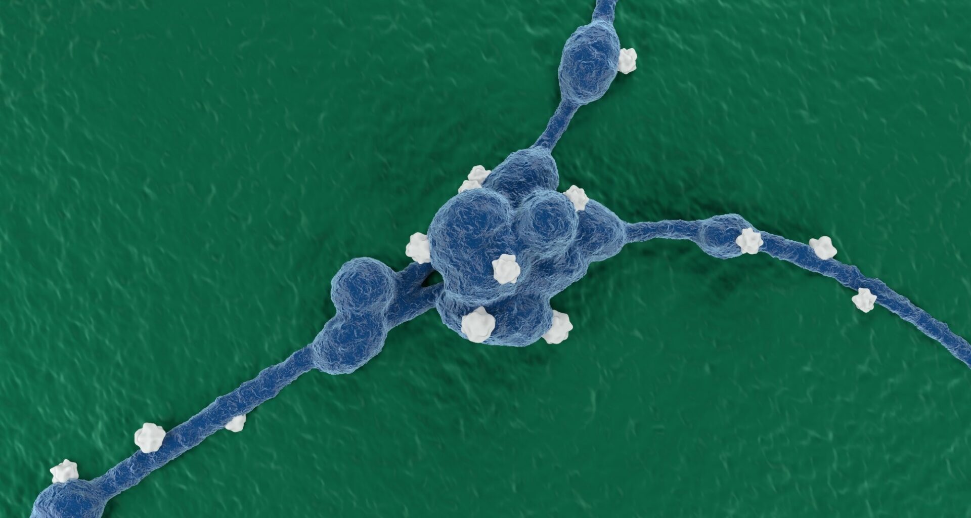 Targeted diet helps reprogram aggressive neuroblastoma in mice