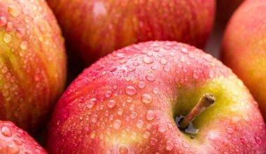 Study: Apple consumption is associated with obesity- and lipid-related parameters and gut microbiota profiles across enterotypes: 12-week single-blind trial in Japanese adults. Image Credit: Arina P Habich / Shutterstock