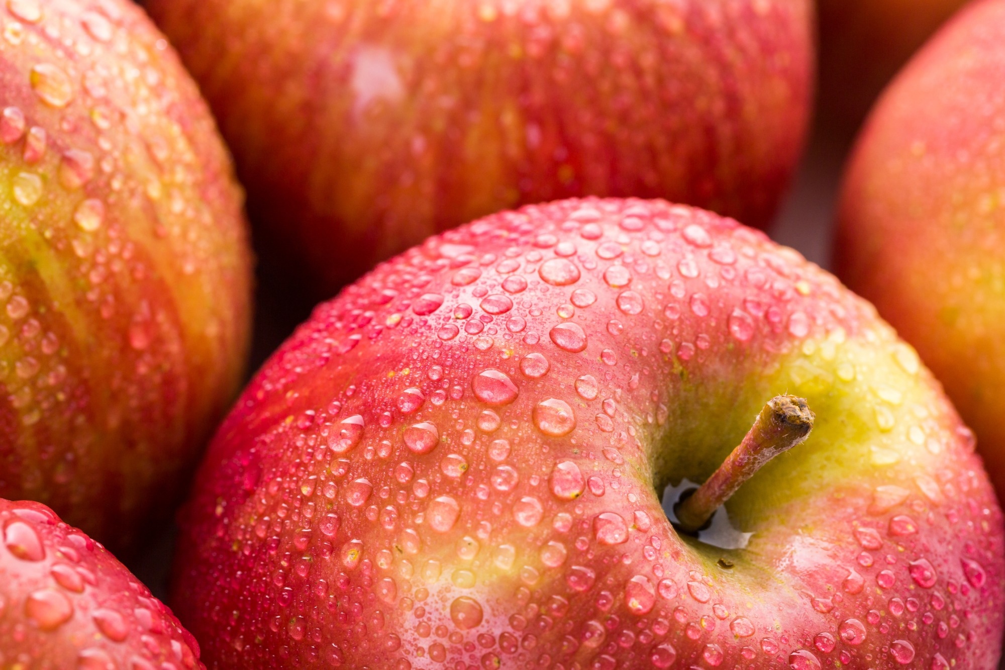 Study: Apple consumption is associated with obesity- and lipid-related parameters and gut microbiota profiles across enterotypes: 12-week single-blind trial in Japanese adults. Image Credit: Arina P Habich / Shutterstock