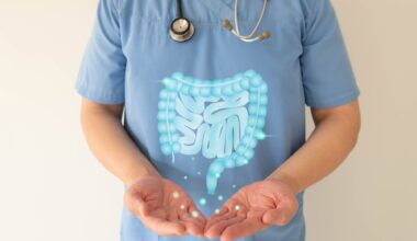 Illustration of healthy intestine anatomy on doctor hands.