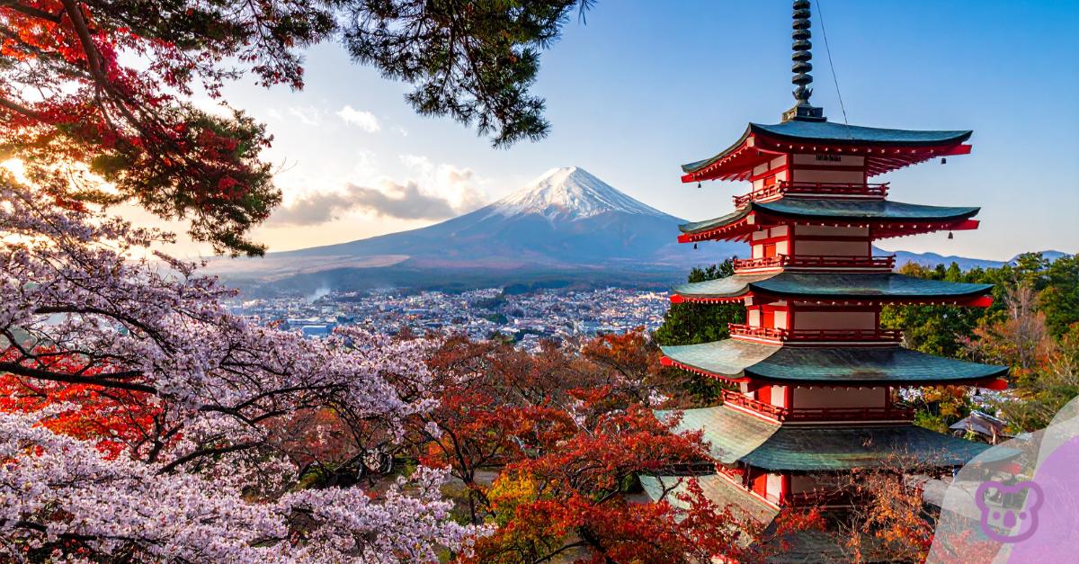 Australian Japan Basic Treaty of Friendship and Cooperation… and MEXT Scholarships