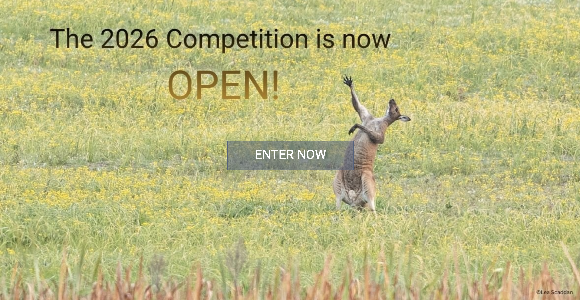 Kangaroo in a grassy field with arms raised, set against text announcing "The 2026 Competition is now OPEN!" with a button labeled "Enter Now"