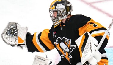 As Stuart Skinner recovers from an eye injury, the Penguins summon Sergei Murashov to Pittsburgh