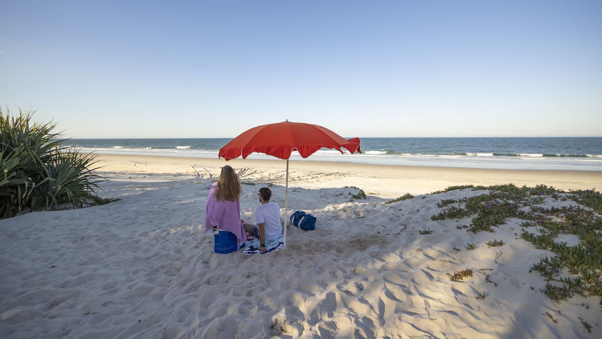 Brisbane’s Bribie Island: Lizards with attitude, more kangaroos than cabanas, freshwater lagoon adventures