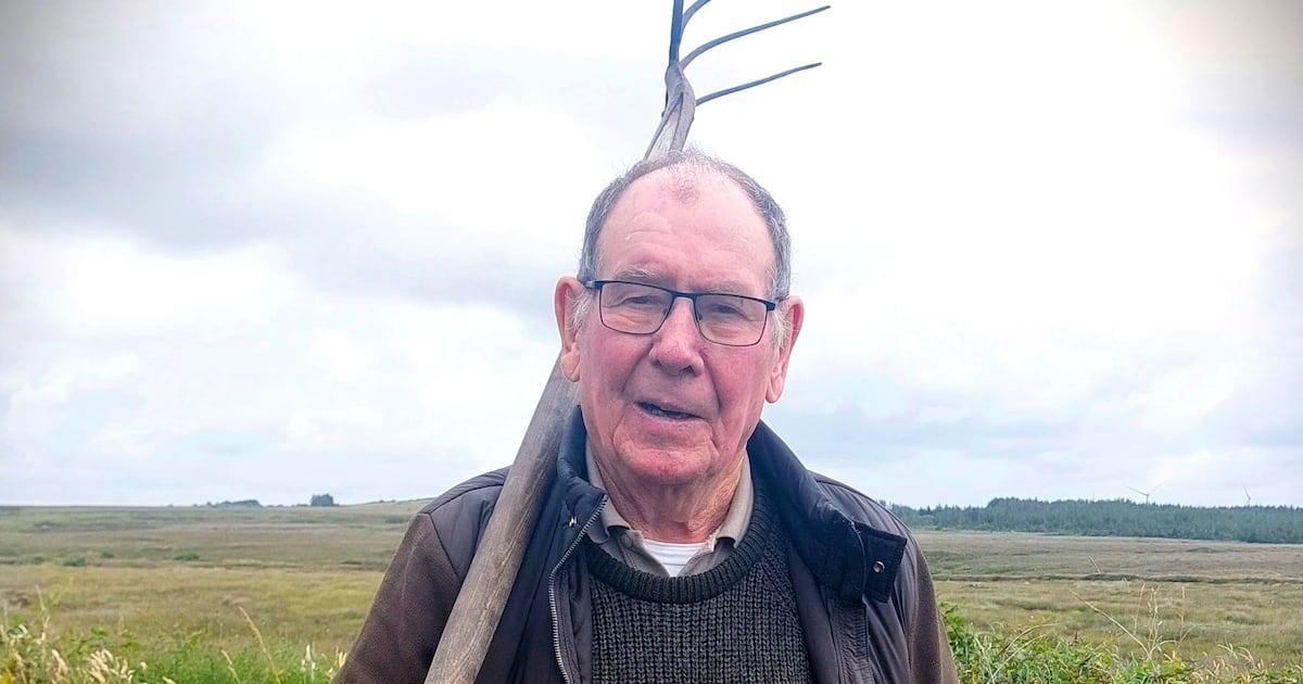 the best new shows to watch, starting tonight – The Irish Times