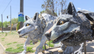 Artists’ towering wolf pieces draw attention in Colorado Springs