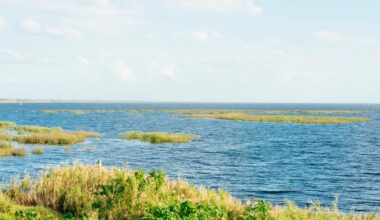 This is a horizontal, color photograph of scenic Lake Okeechoee Florida, one of the largest lakes in the USA. On the sunny winter day the freshwater meets the sky. Bits of grass stick out of the water. Photographed with a Nikon D800 DSLR camera.