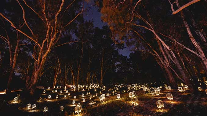 MRC Trail of Lights