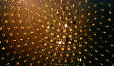 The inside of the MiniBooNE neutrino detector (Credit : Fred Ullrich)