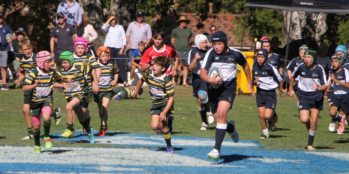 Clubs dominate as record crowds flock to TAS Rugby Carnival