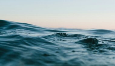 The surface of the ocean