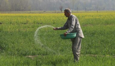 ‘It all depends on the crop’: Gulf crisis hits South Asia farmers | Agriculture News