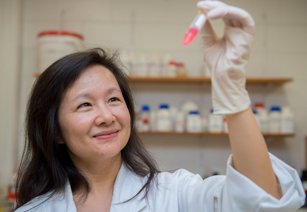Machine learning unlocks greener pathway to urea production