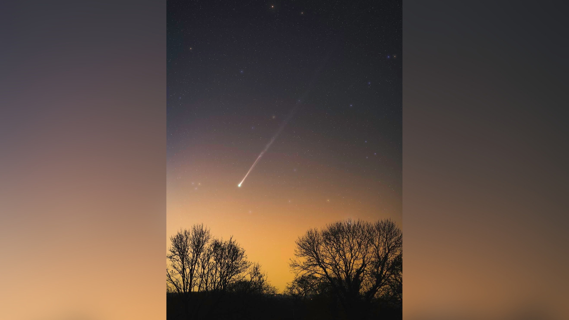 A comet is pictured shining in a field of multicolored stars above a silhouetted horizon lined with trees at night. A warm yellow-orange glow suffuses the horizon.