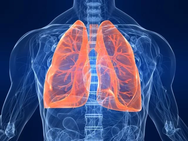 UTS study highlights need for personalised respiratory care