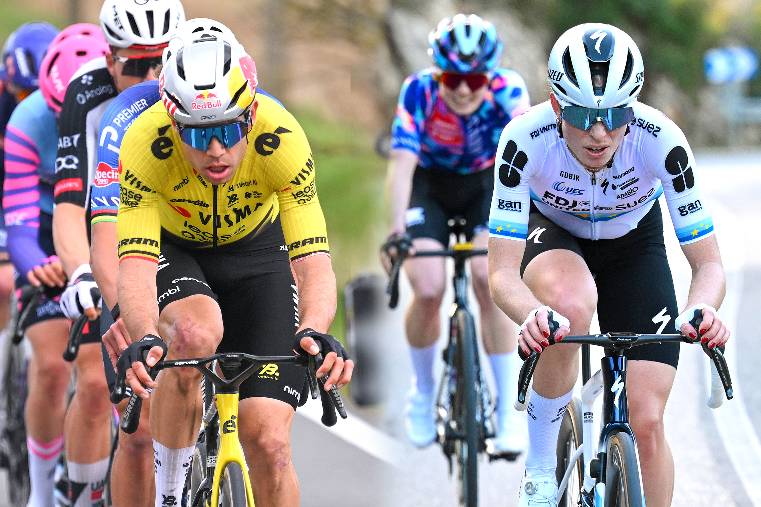 Wout van Aert and Demi Vollering are among the main contenders at Dwars door Vlaanderen
