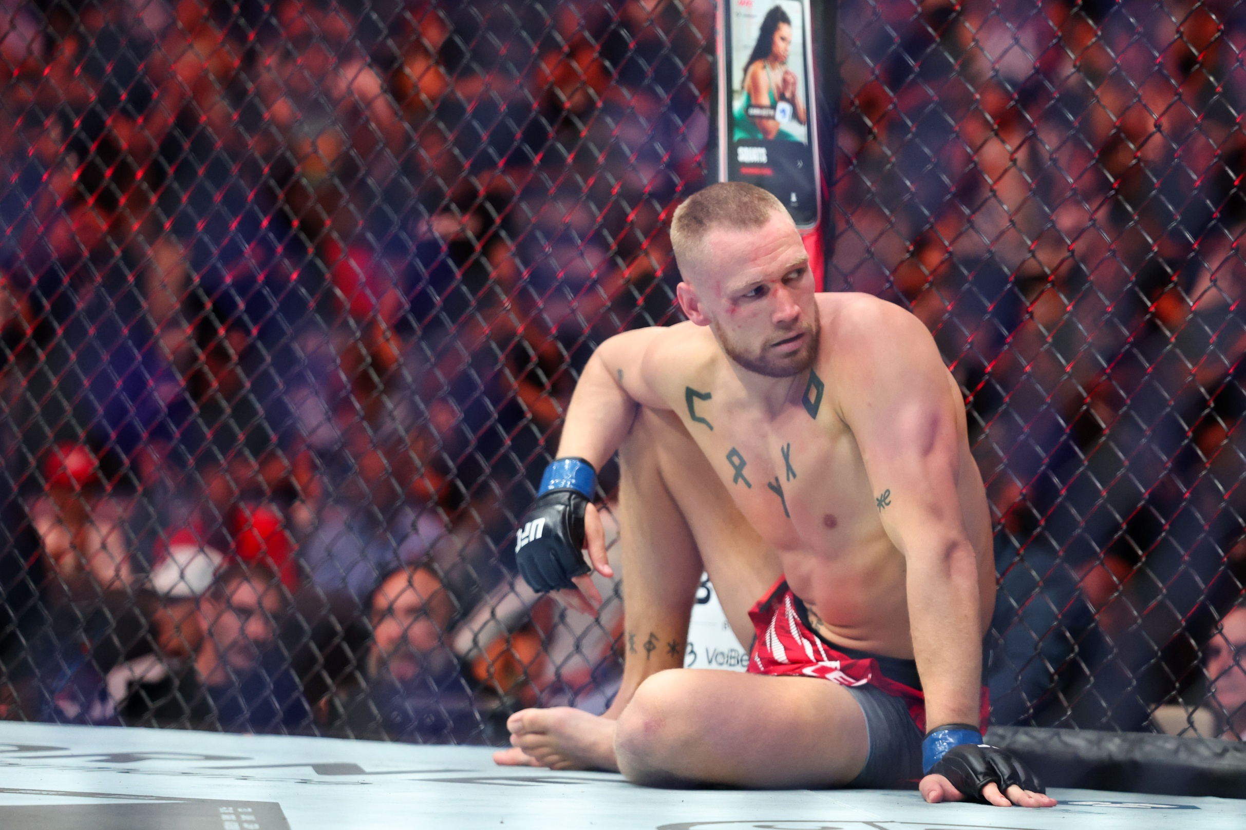 Valentin of the UFC Valentin of the UFC