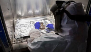 Nature is still molding human genes, study finds