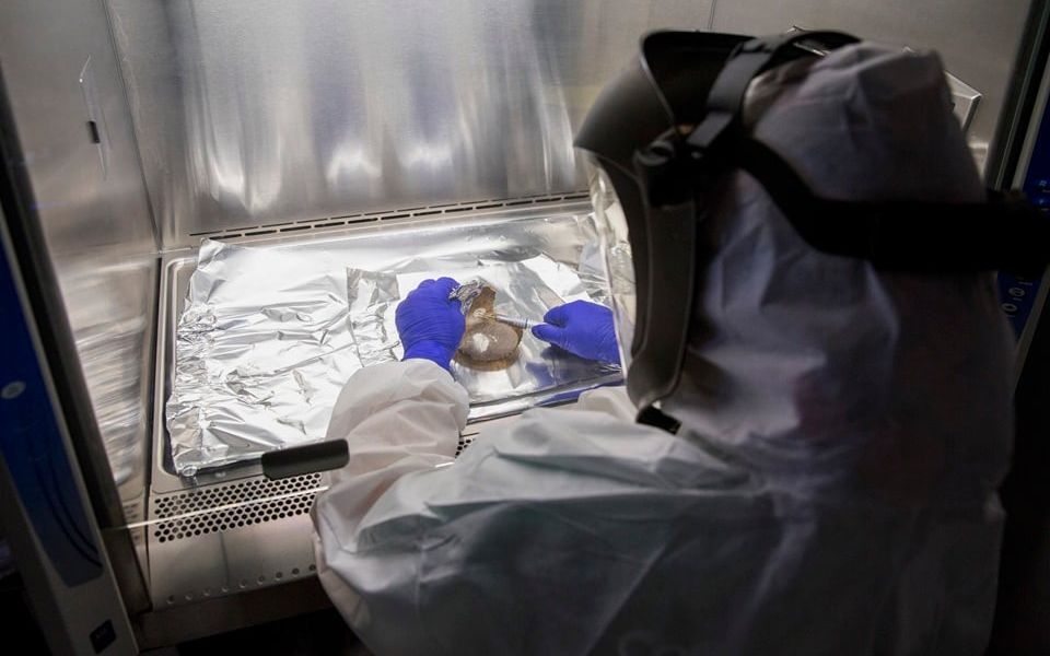 Nature is still molding human genes, study finds