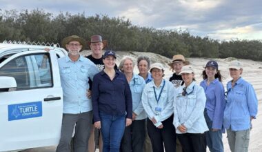 Turtle hatchlings’ chances bolstered by volunteers