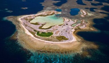Coral reefs on a remote archipelago shrugged off a massive heatwave