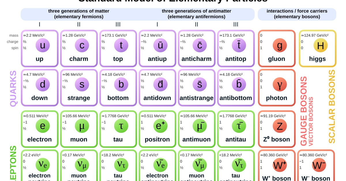 The particles in the early Universe painted a different picture