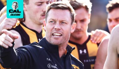 Forget the stars, Sam Mitchell might just be Hawthorn's biggest asset