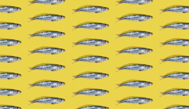 Sardines on a yellow background