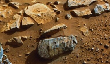 Scientists Analyze A Meteorite Found In Morocco And Discover That Mars Contains 10x More Water Than Originally Believed