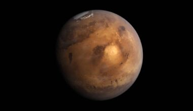 Scientists have discovered a moss which may grown on Mars and help terraform the planet.