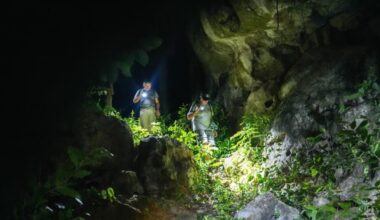 cambodian cave