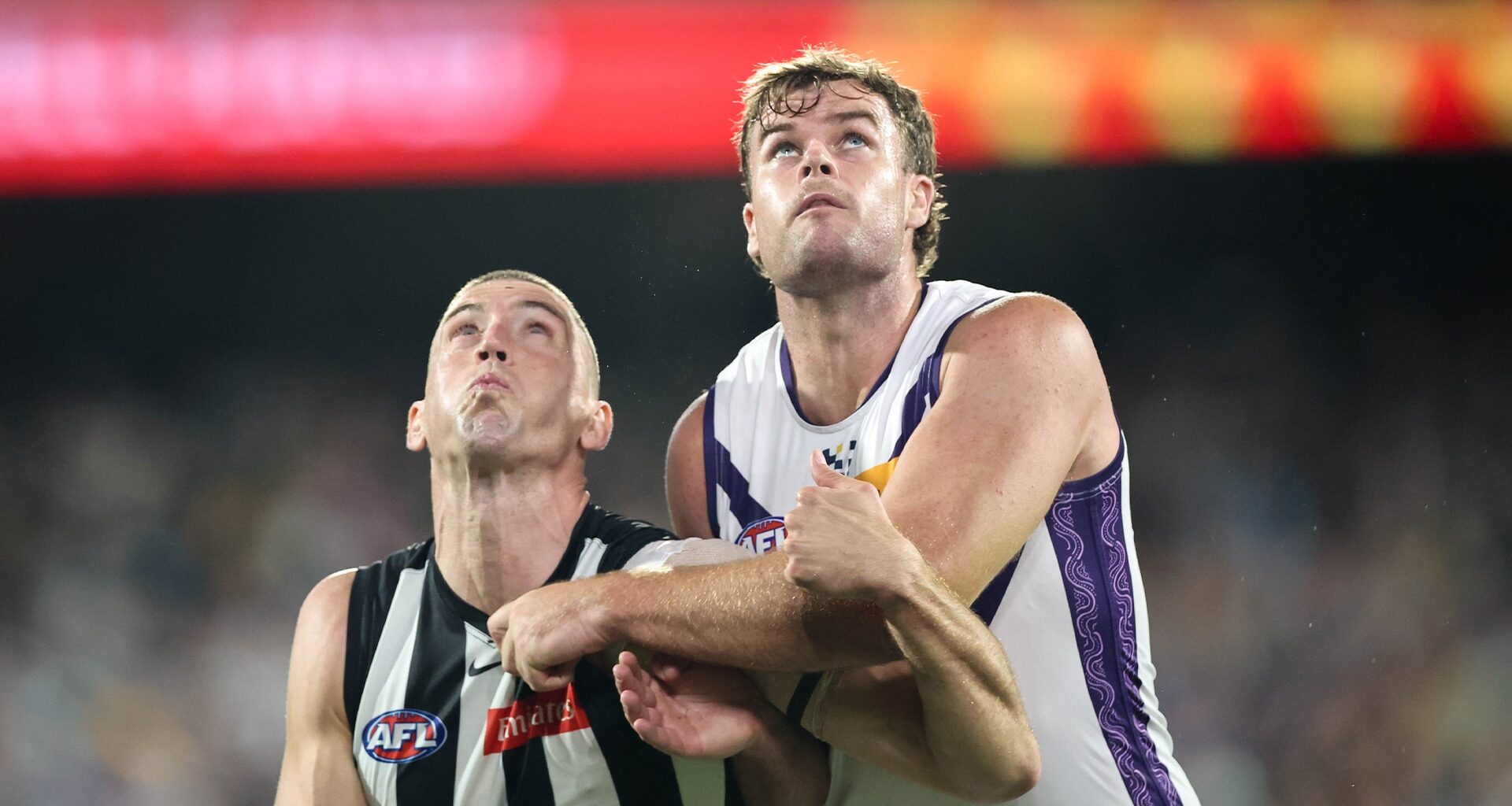 RND 6 Injury Update: Darcy, Banfield, Young