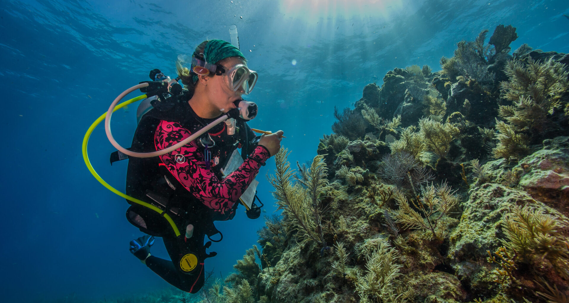 Against the clock: Can 'assisted evolution' save our coral reefs?
