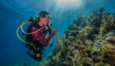 Against the clock: Can 'assisted evolution' save our coral reefs?