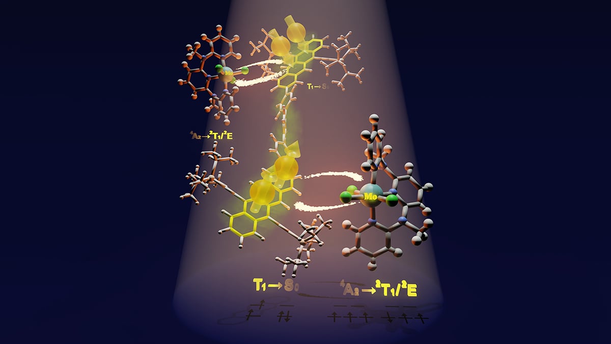 New Breakthrough in Solar Cell Efficiency Hits 130% Quantum Yield : ScienceAlert