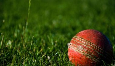 Traditional look for cricket ground