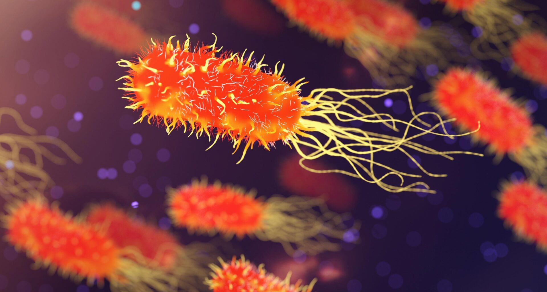 Forgotten Medicinal Plant Shows Promise in Fighting Dangerous Superbugs