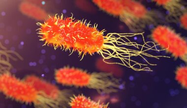 Forgotten Medicinal Plant Shows Promise in Fighting Dangerous Superbugs