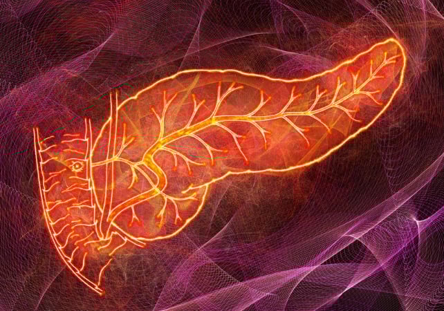 Diabetes Pancreas