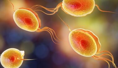 Advances in nanomedicine improve anthelmintic drug delivery and effectiveness