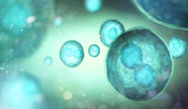 Turqoise Stem Cells