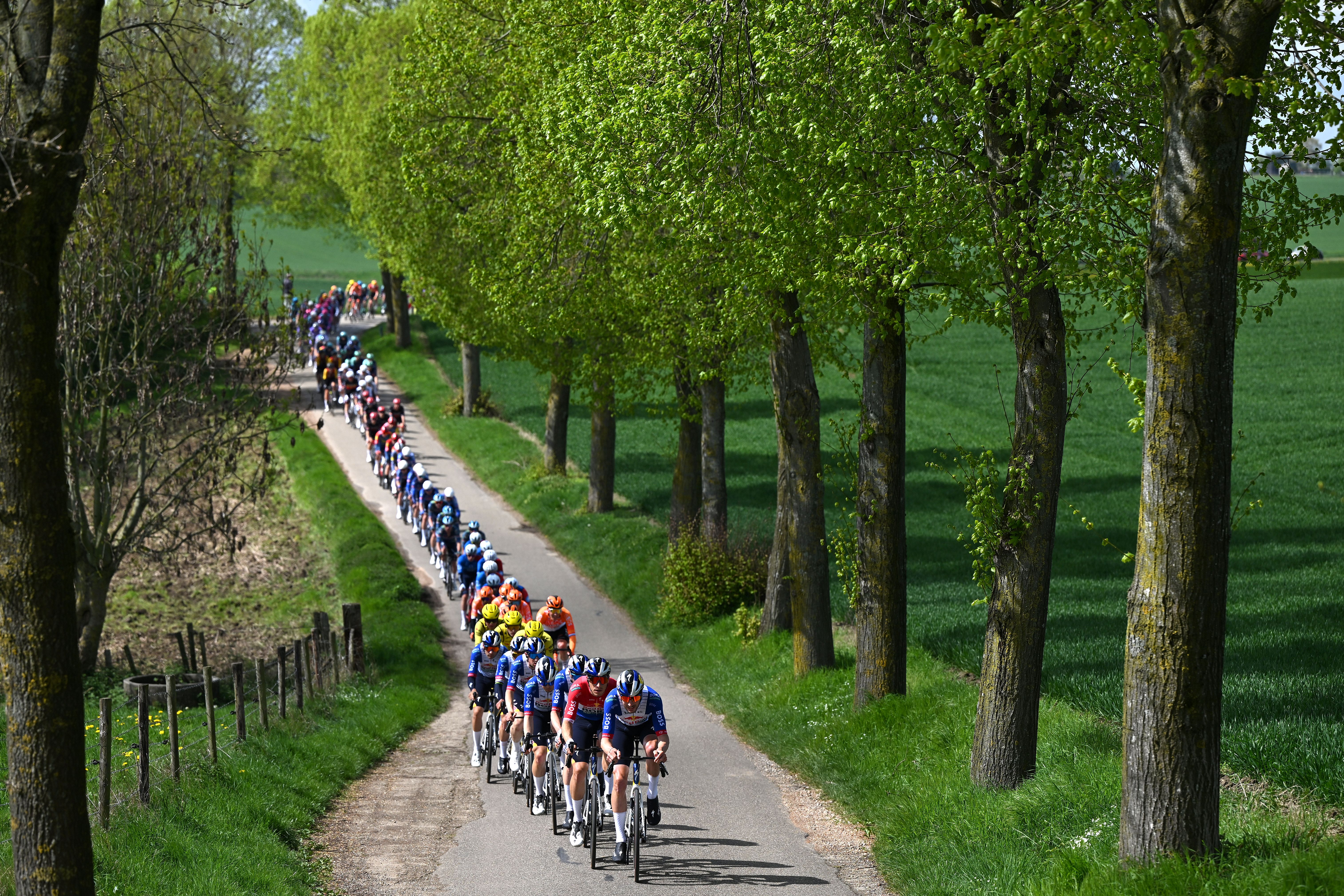 VALKENBURG, NETHERLANDS - APRIL 19: Danny van Poppel of Netherlands and Tim van Dijke of Netherlands and Team Red Bull - BORA - hansgrohe lead the peloton during the 60th Amstel Gold Race 2026 - Men's Elite a 257.2km one day race from Maastricht to Valkenburg / #UCIWT / on April 19, 2026 in Valkenburg, Netherlands. (Photo by Dario Belingheri/Getty Images)