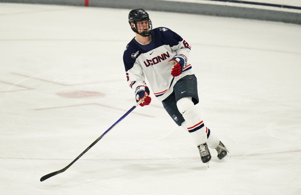 Wild Working To Sign Viking Gustafsson Nyberg – Pro Hockey Rumors