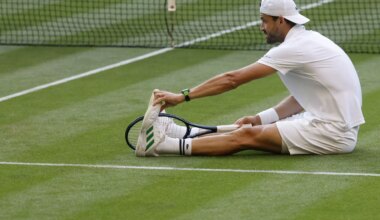 Grigor Dimitrov defeated at Wimbledon.