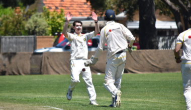 Tigers hunt for new cricket coach