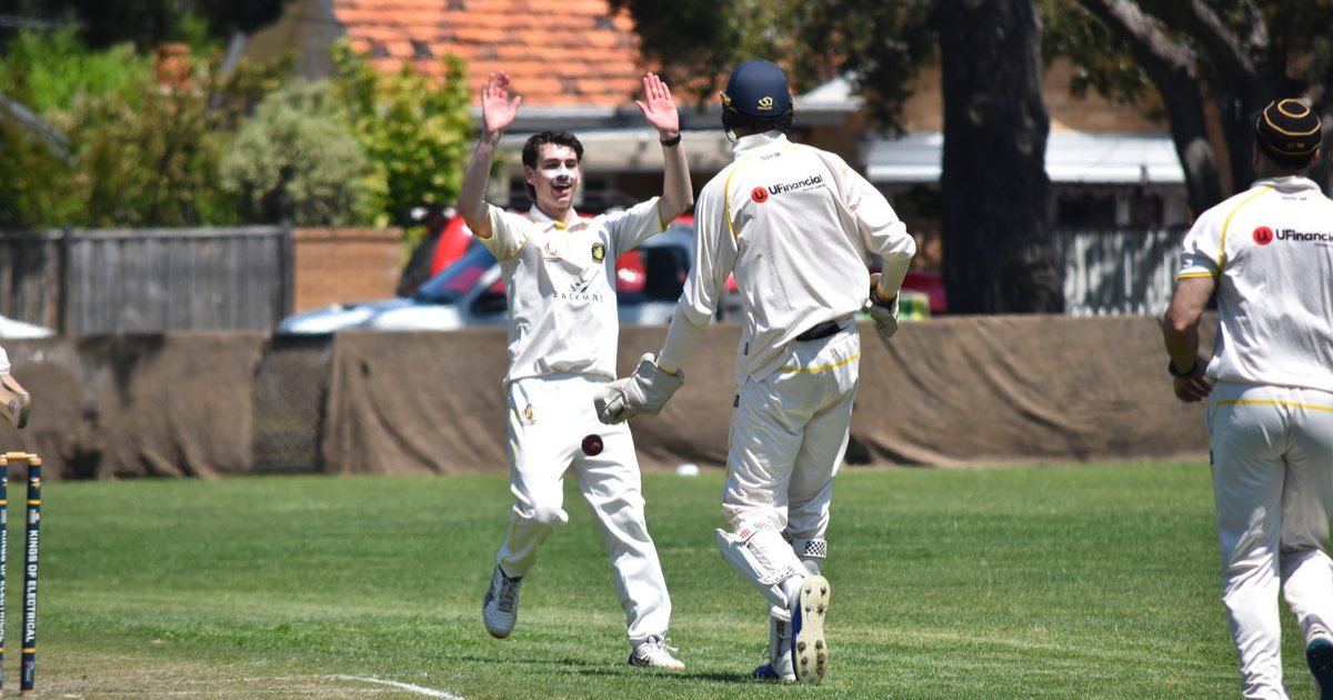 Tigers hunt for new cricket coach